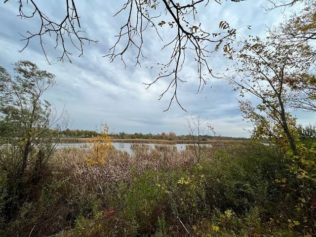 Mud Lake Conservation Area - Image 3