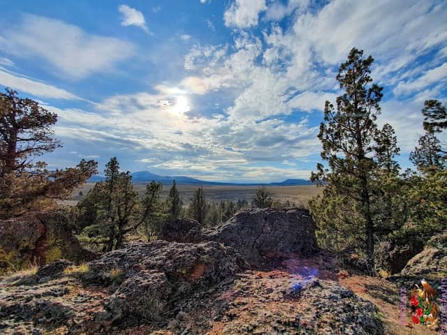 Rimrock Springs Wildlife Management Area - Image 1