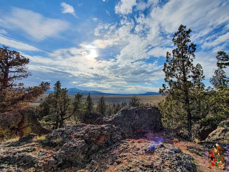 Rimrock Springs Wildlife Management Area - Image 1