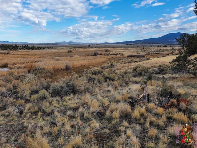 Rimrock Springs Wildlife Management Area - Image 3