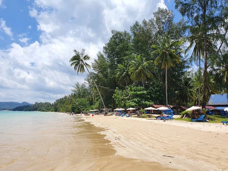 Coconut beach - Image 1