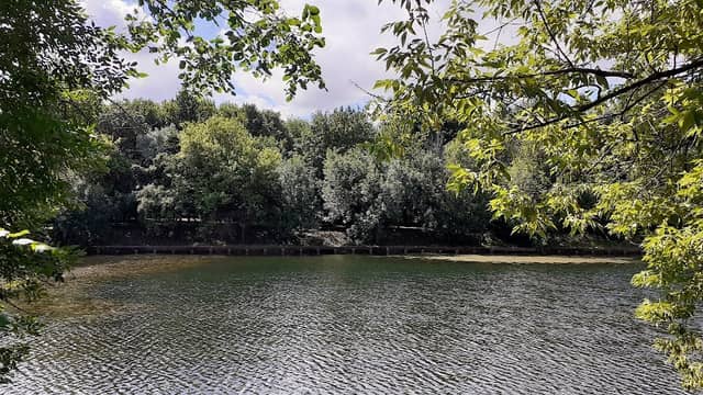 Vladimir pond - Image 1