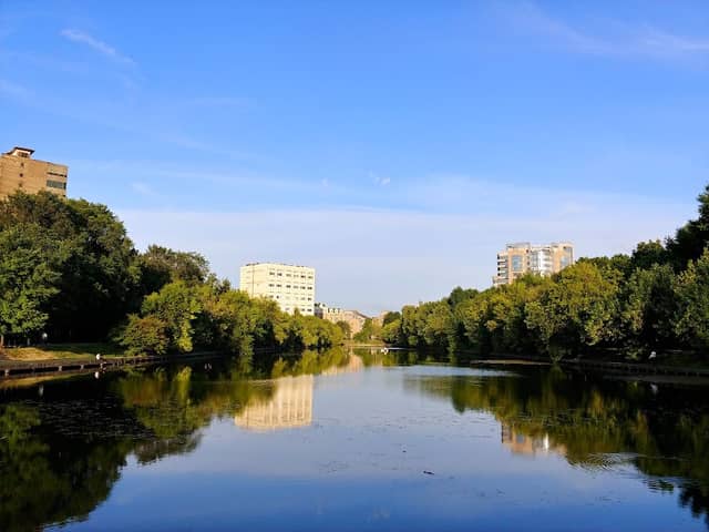 Vladimir pond - Image 2
