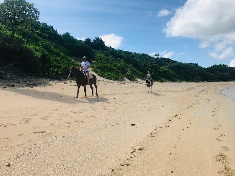 Natadola Bay Horse Riding ,Tours Transfer & Beach Massage - Image 3