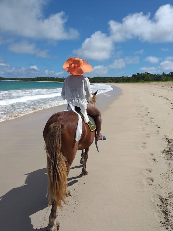 Natadola Bay Horse Riding ,Tours Transfer & Beach Massage - Image 2