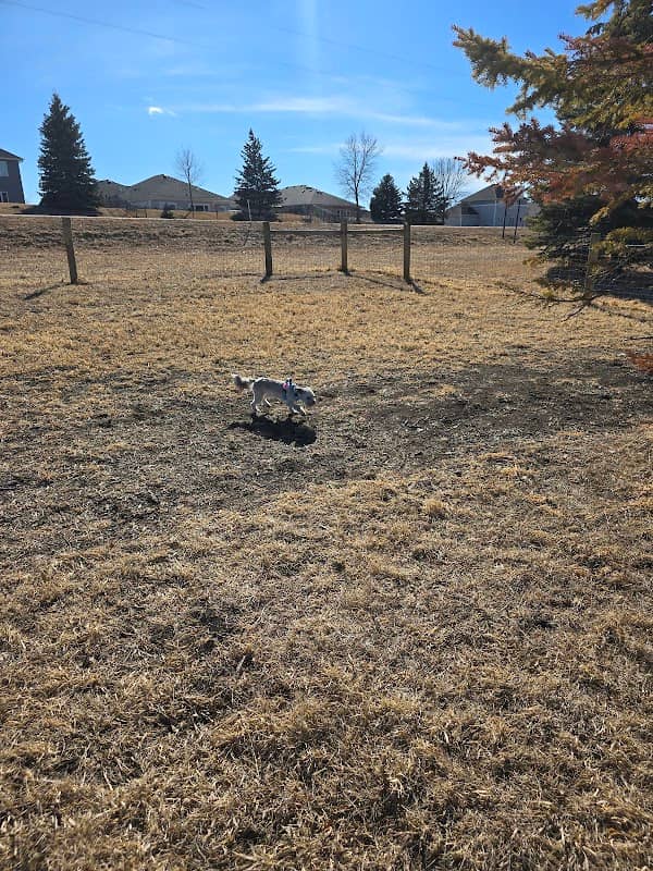 New Prague Off-Leash Dog Park - Image 1