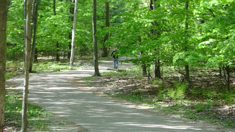 Cartier Park Pathway - Image 1