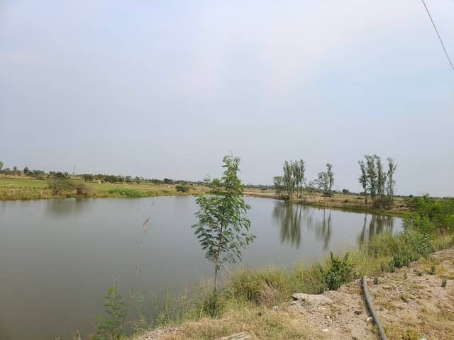Mallikarjuna Resorts - Image 1