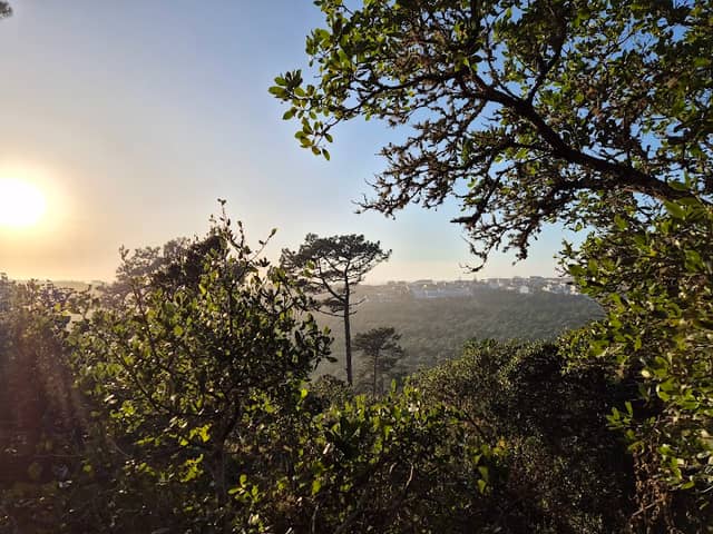 Monte de São Bartolomeu - Image 3