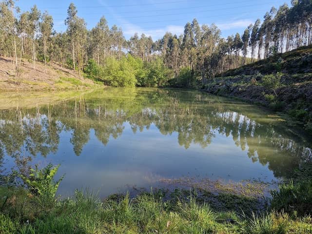 Lagoa de Coura - Image 1