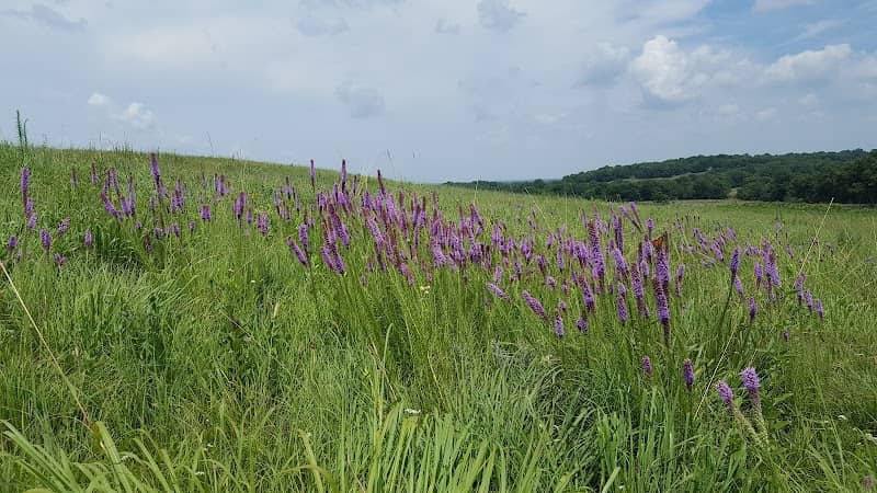 Stilwell Prairie - Image 2