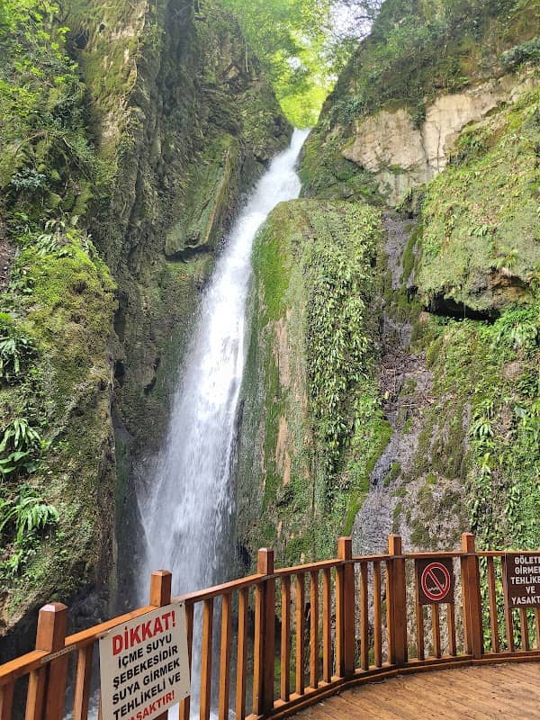 Akcakoca, Aktas Selalesi - Image 1
