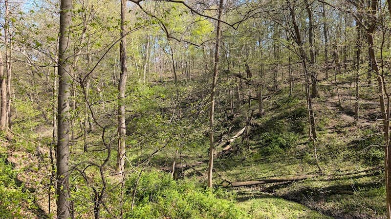 Dorrance Park - Image 2