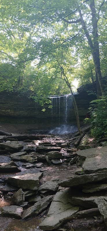 Waterfall Shelter at Lower Cascades Park - Image 2