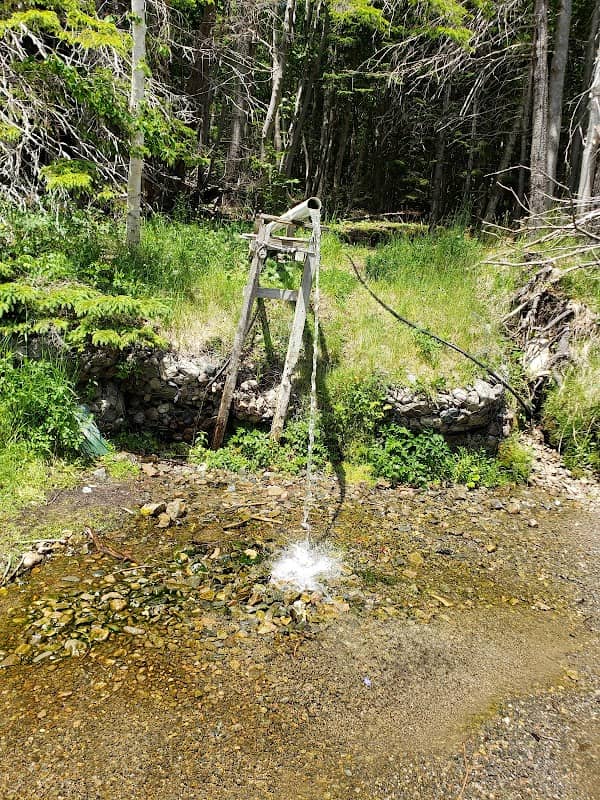 Little Narrows Mountain Spring - Image 2