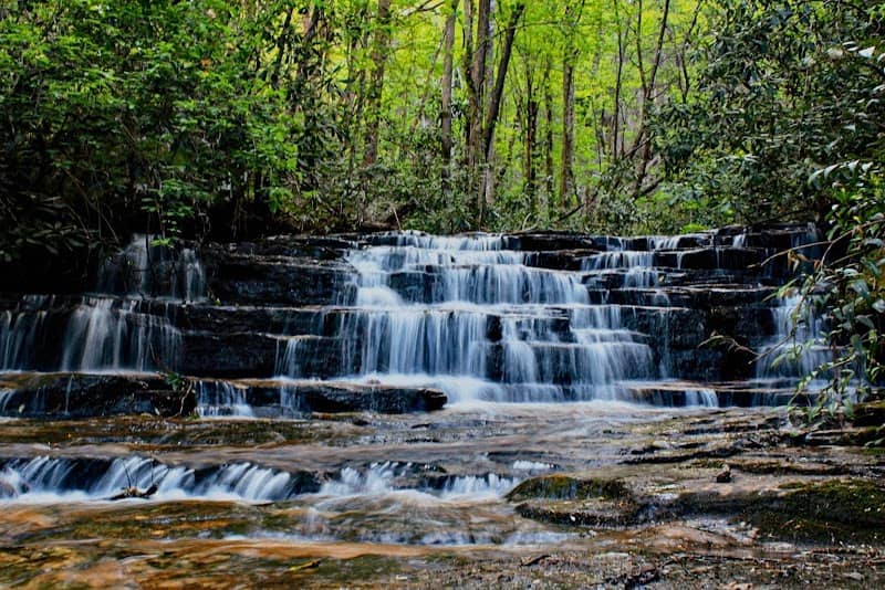 Lowry Falls Trail - Image 1