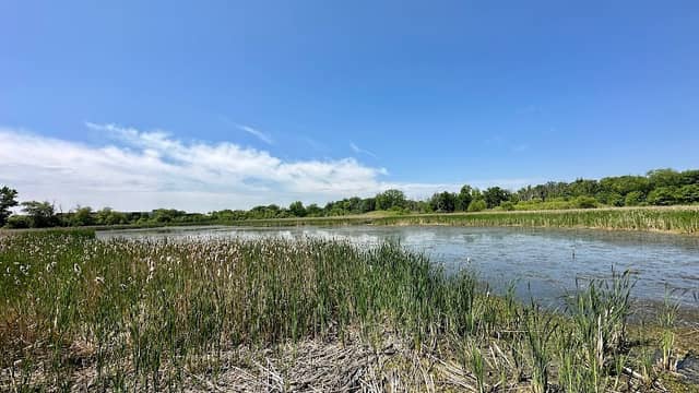 Prairie Wolf Forest Preserve - Image 1