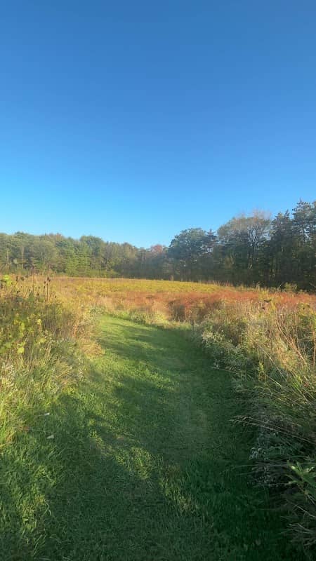 Aukerman Park - Image 2