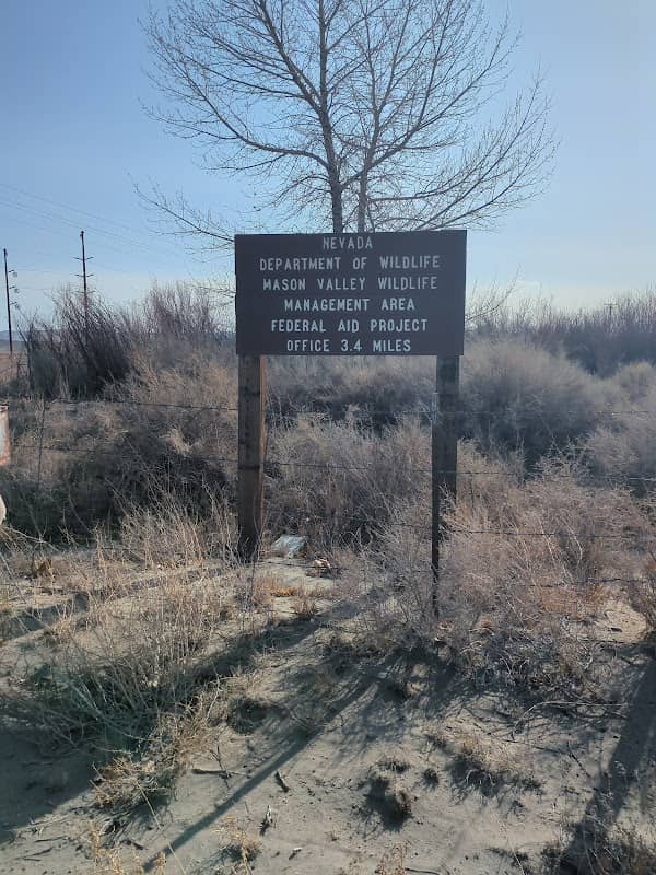 Nevada Department of Wildlife Mason Valley Wildlife Management Area - Image 1