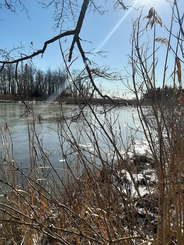 Boardwalk Trail - Image 1