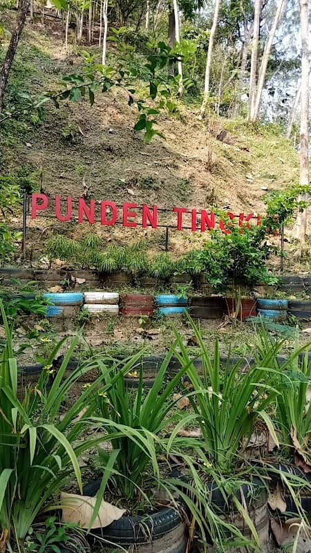 Punden Tingkir Sangiran - Image 1