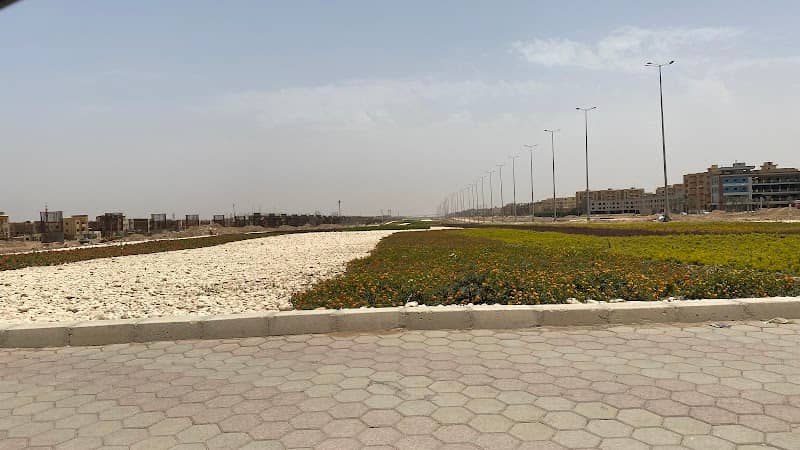الشريان الاخضر - Image 1