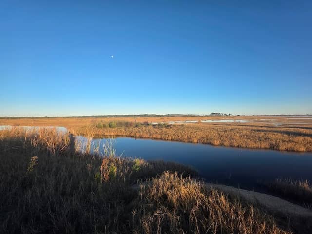 St. Marks Wildlife Refuge Environmental Education Building - Image 3