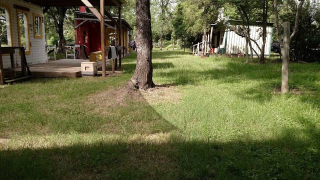 Willow Hole Cowboys - Image 1
