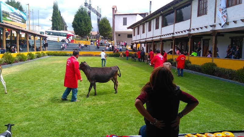 Quinta Macaji - Image 2