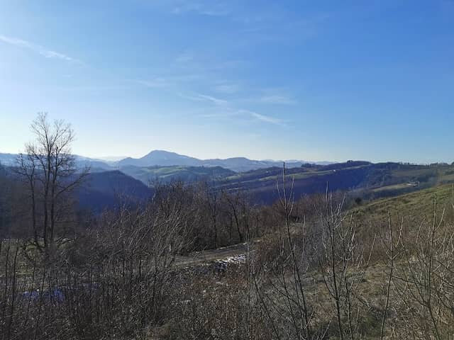 Scheletro di balena in Val di Zena - Image 3