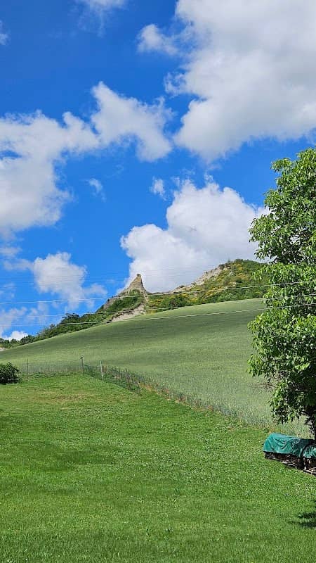 Scheletro di balena in Val di Zena - Image 1