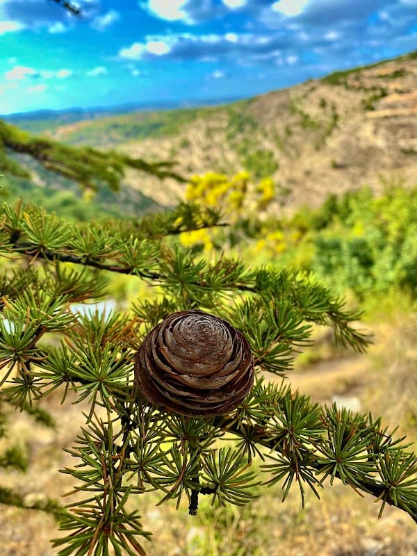 Jeita Spring - Image 2
