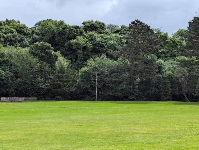 Ironmills Park - Image 1