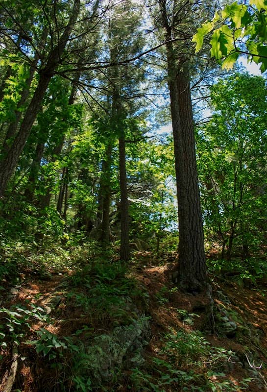 South Bluff / Devil's Nose State Natural Area - Image 3