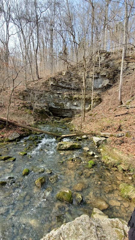 Wyandotte Lake Hiking - Image 2