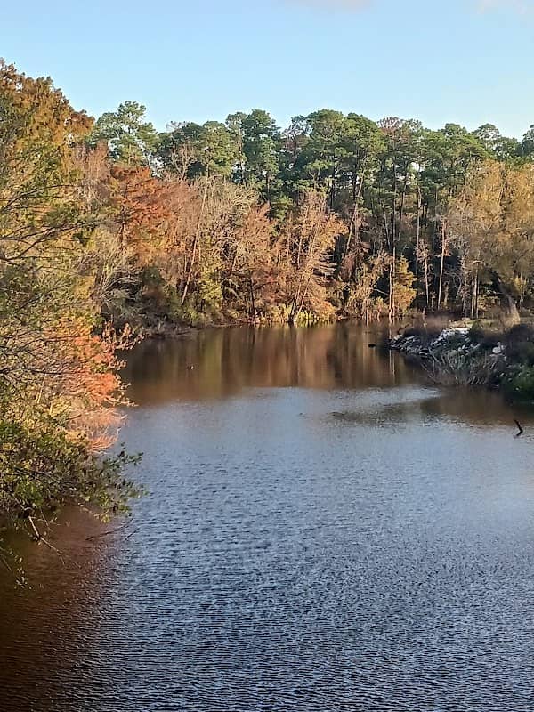 White's Park - Image 1