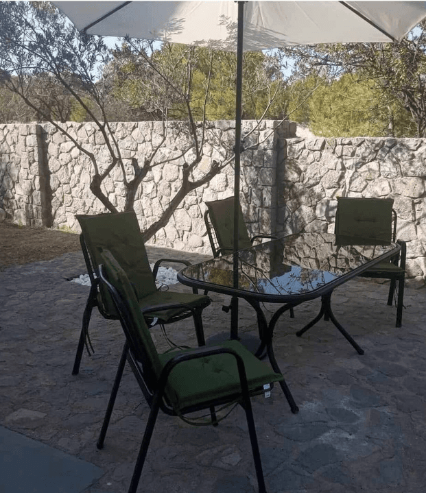 Thea sto Dasos - Image 1