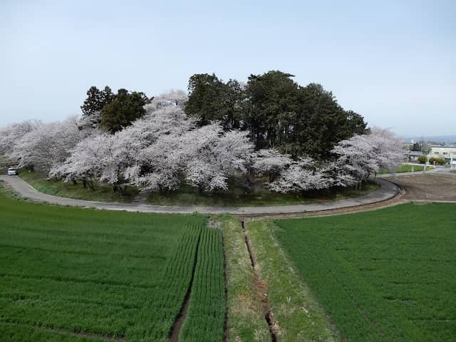 お富士山古墳 - Image 1