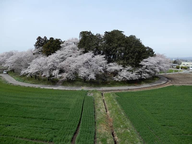 お富士山古墳 - Image 1