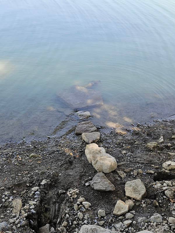 Ponton "Il Naturale" - Image 1