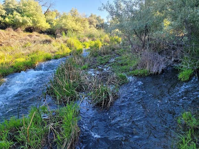 Bailie Memorial Youth Ranch and Wildlife Area - Image 1