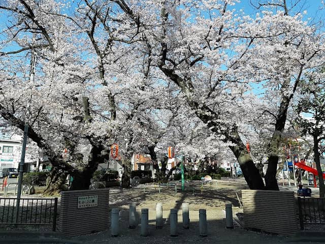 Momiji Park - Image 2