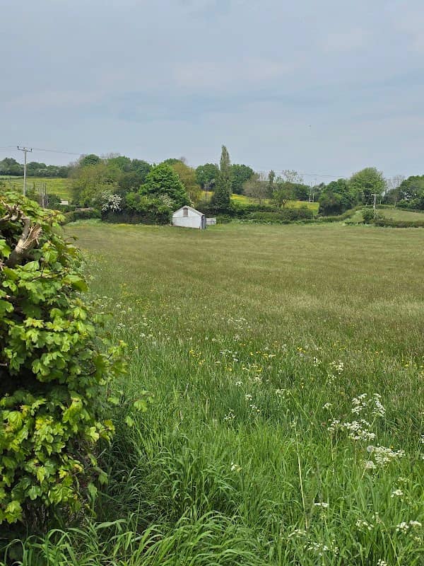 Bodeirion, Bottom Road Summerhill - Image 1