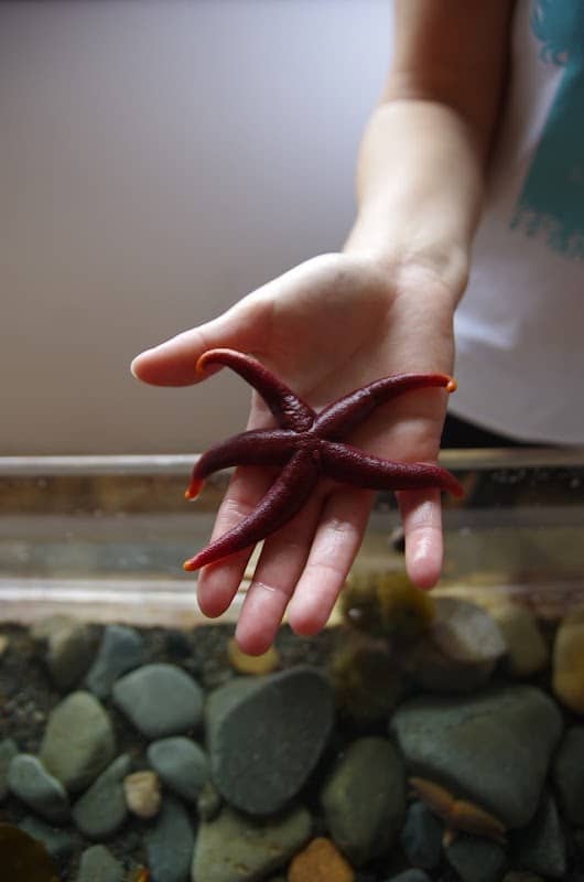 Back to the Sea Centre - Image 1