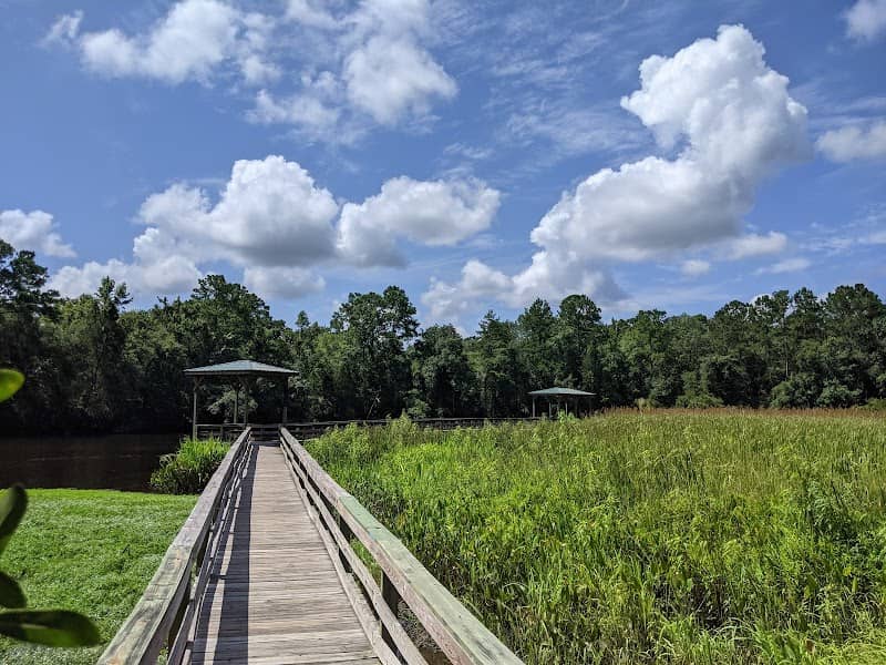 Ashley River Blue Trail - Image 2