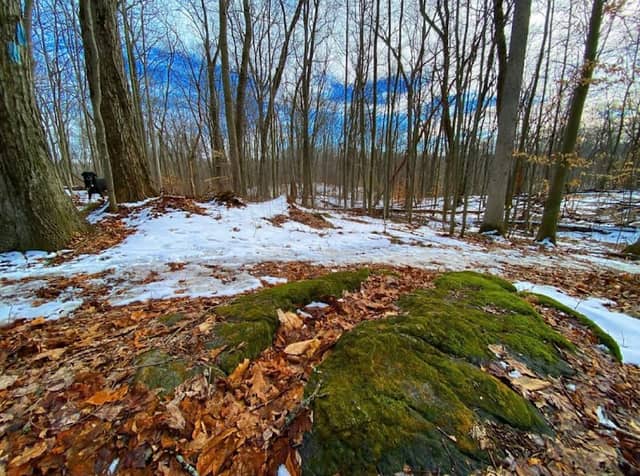 North Country Trail Head - Image 1