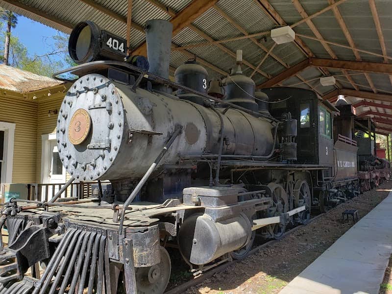 Texas Forestry Museum - Image 2