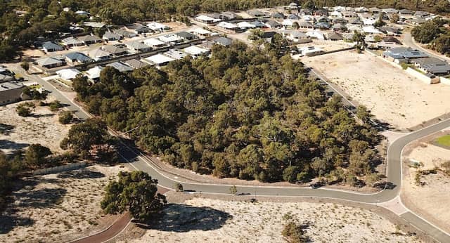 Gumnut Possum Bridge - Image 1