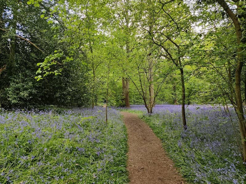 Tocil Wood and Nature Reserve - Image 1