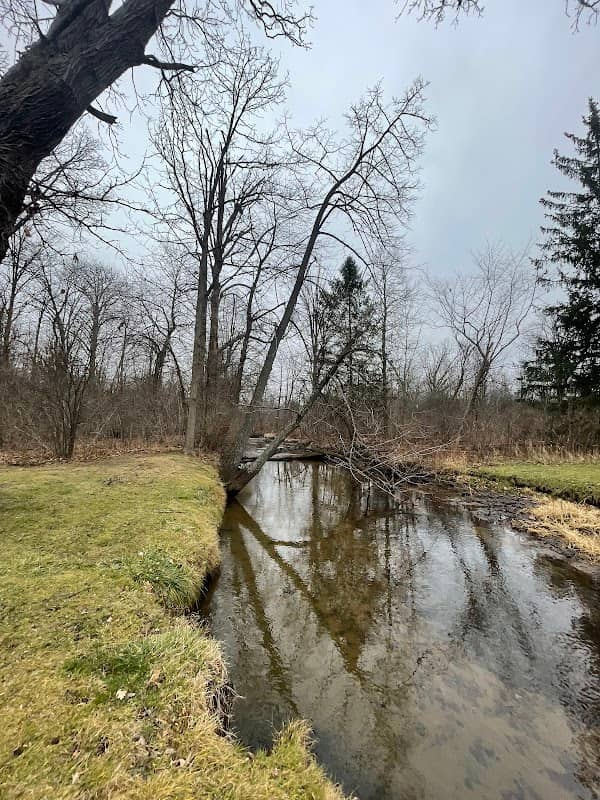 Kearsley Creek Public Access - Image 1